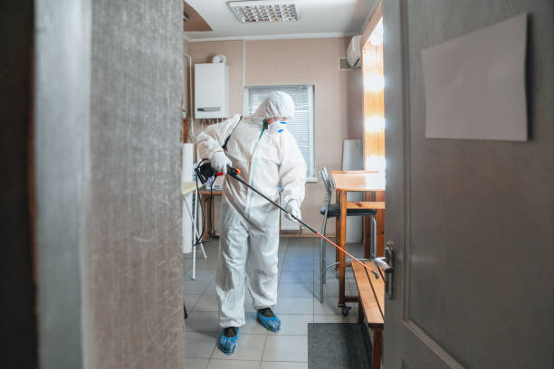 Best Asbestos and Lead Testing During Mold Inspection  in Elk Grove, CA